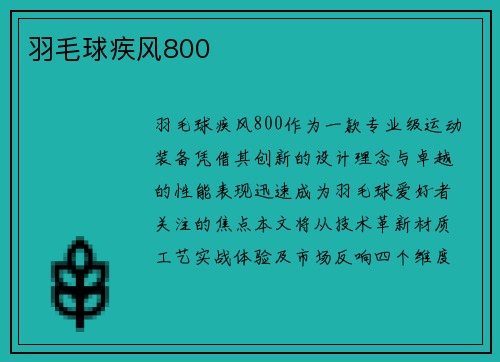 羽毛球疾风800