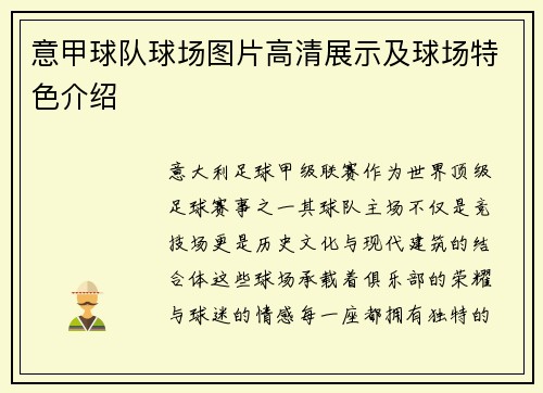 意甲球队球场图片高清展示及球场特色介绍